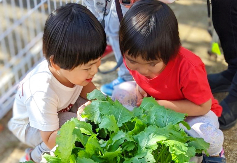 園庭菜園